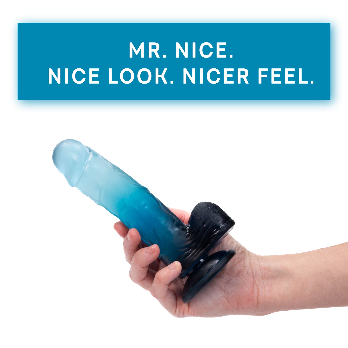 Mr. Nice