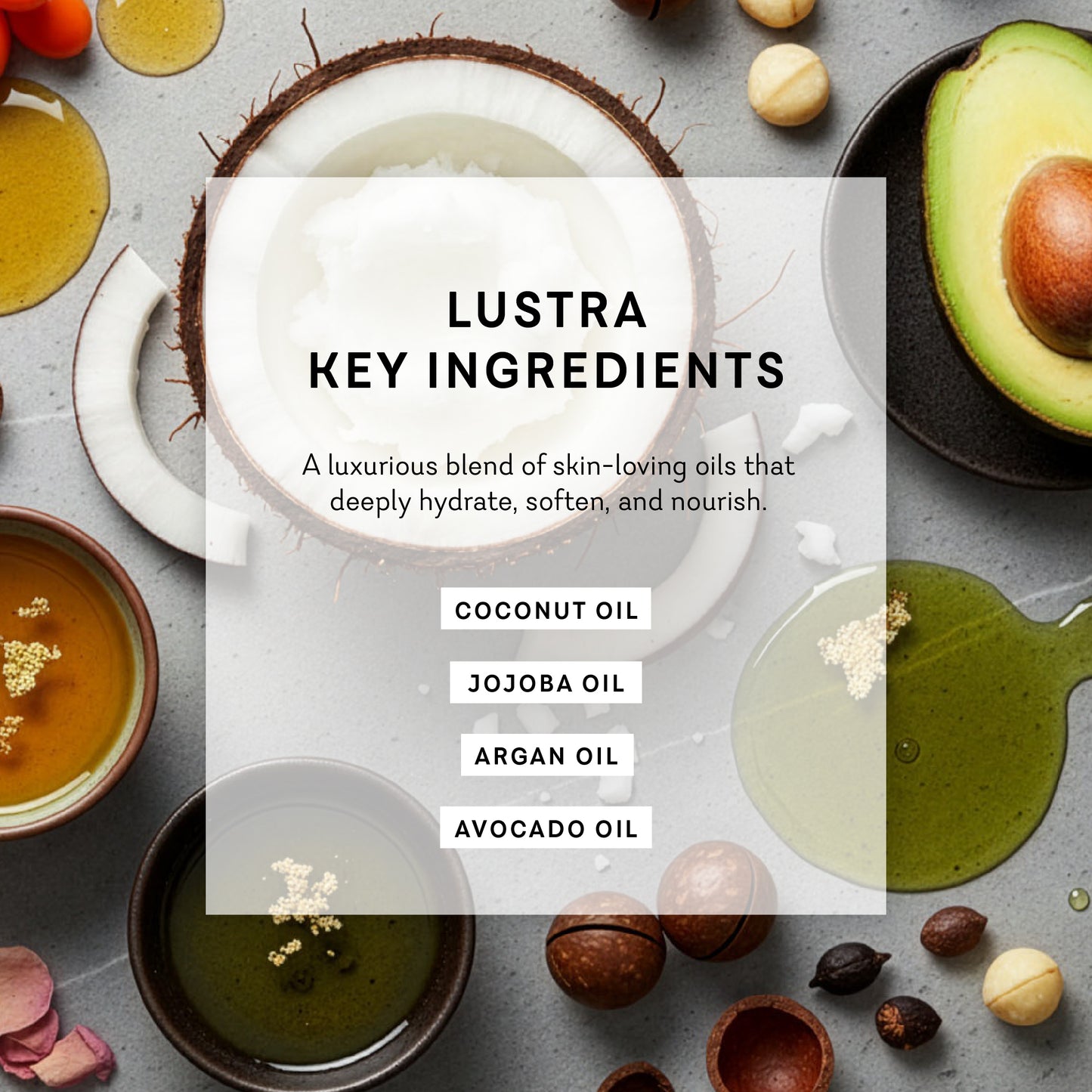 Lustra - Dirty French